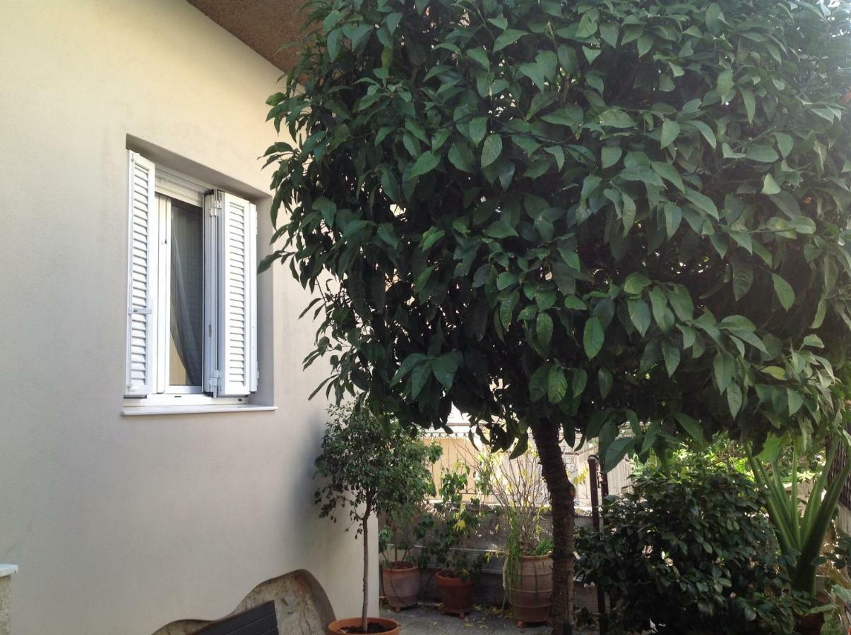 The 25Sqm Sunny, Modern And Comfortable Αθήνα Εξωτερικό φωτογραφία